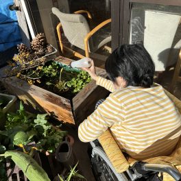 小春日和とメダカ