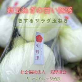 ☆みのり市にて新玉ねぎを販売いたします♪