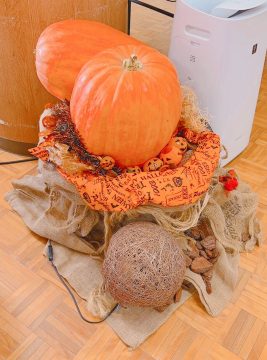 🎃ハロウィンかぼちゃディスプレイ集♪