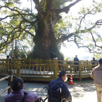 蒲生八幡神社に初詣に行ってきました♪