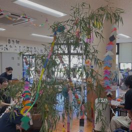七夕☆彡笹の葉に願いを込めて☆