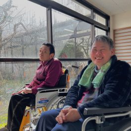 早春の陽だまり🌞と小彼岸桜