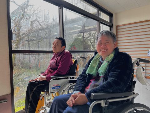 早春の陽だまり🌞と小彼岸桜