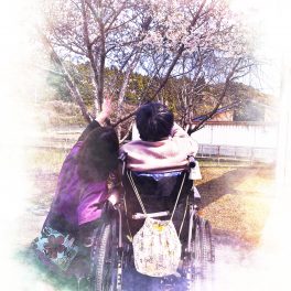 桜満開！花見🌸をしました♪