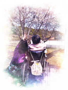 桜満開！花見🌸をしました♪