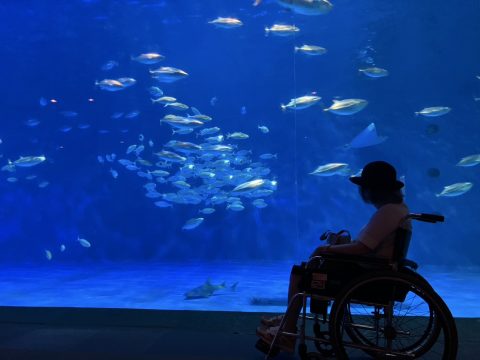 5・6月レク～いおワールドかごしま水族館～🐟