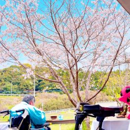 🌸お花見をしました♪