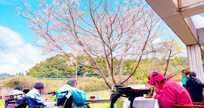 🌸お花見をしました♪